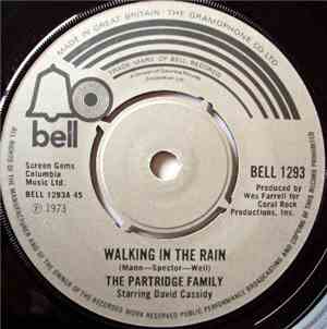 The Partridge Family Starring David Cassidy - Walking In The Rain