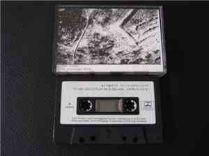 Silent Invasion - The Picturesque Decay
