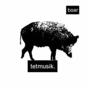 Various - Tetsampler 2013 - Boar-Edition