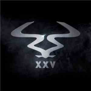 Various - XXV