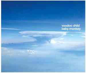 Voodoo Child - Baby Monkey