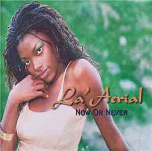 LaAerial Owens - Now Or Never