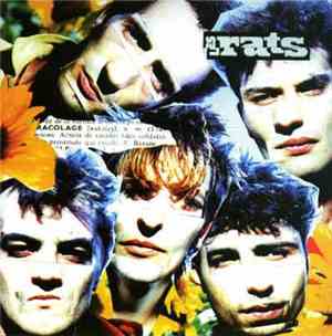 Les Rats - Racolage