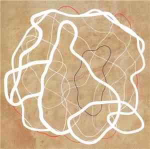 Nels Cline + G.E. Stinson - Elevating Device