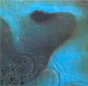 Pink Floyd - Meddle
