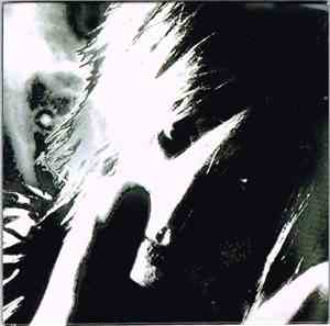 Sugizo - Replicant Truth?