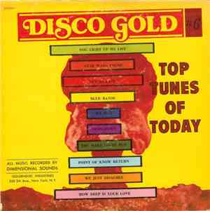 Dimensional Sounds - Disco Gold #6: Top Tunes Of Today