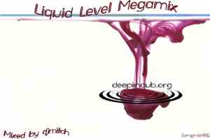 Liquid Level - Liquid Level Megamix