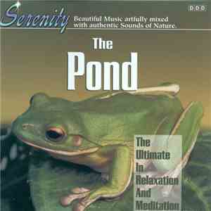 Steve Quinzi - The Pond