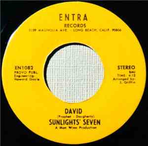 Sunlights' Seven - David / Judy In Disguise