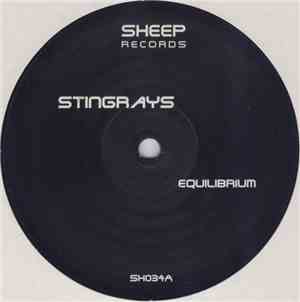Stingrays - Equilibrium