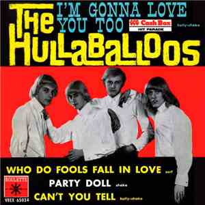 The Hullaballoos - I'm Gonna Love You Too