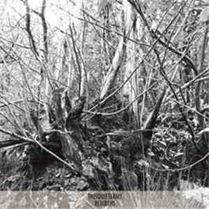 Thisquietarmy - Rebirths