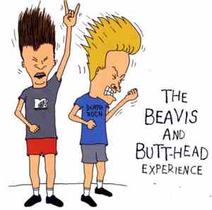 Various - The Beavis And Butt-Head Experience
