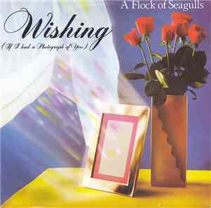A Flock Of Seagulls - Wishing (If I Had A Photograph Of You)