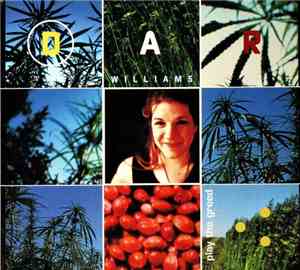 Dar Williams - Play The Greed
