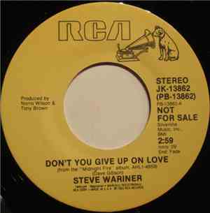 Steve Wariner - Don't You Give Up On Love