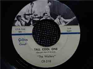 The Wailers  - Tall Cool One