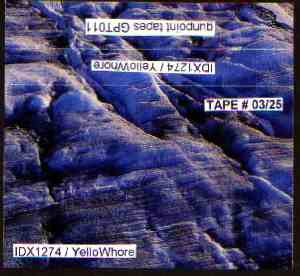 IDX1274 / Yellowhore - IDX1274 / Yellowhore [Split]