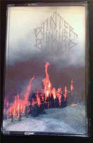 Winter In The Blood - Forest Fires