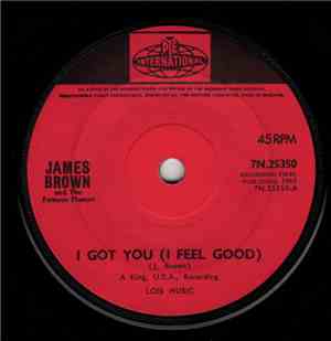 James Brown & The Famous Flames - I Got You (I Feel Good)