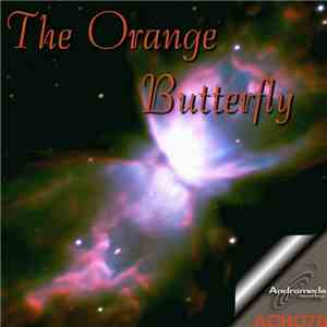The Orange  - Butterfly