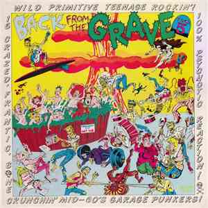Various - Back From The Grave Volume 5