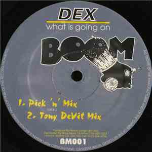 DEX - What Is Going On
