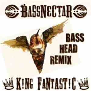 Bassnectar x K!ng Fantast!c - Bass Head (Remix)