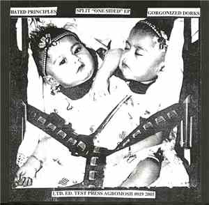 Hated Principles / Gorgonized Dorks - A Noise War Split EP