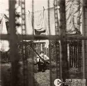 Paul McCartney - Chaos And Creation In The Backyard