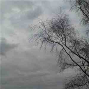 Beauty In Emptiness - Demo