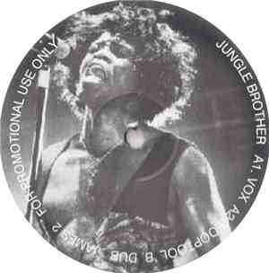 James Brown - Jungle Brother