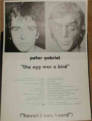Peter Gabriel - The Egg Was A Bird