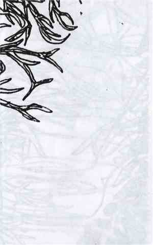 Sam Goldberg - Winter Hallucinations: I