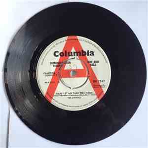 The Animals - Baby Let Me Take You Home
