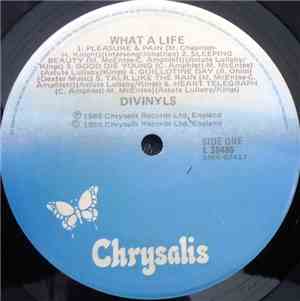 Divinyls - What A Life!