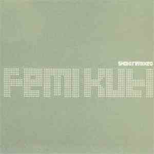 Femi Kuti - Shoki Remixed