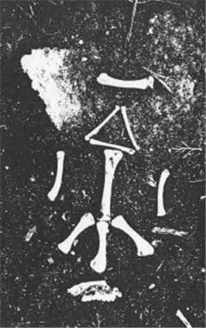 Nahtrunar - Nahtrunar