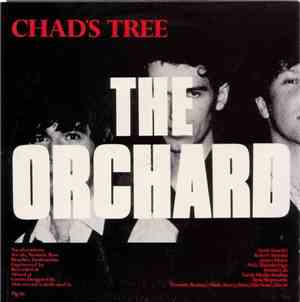 Chad's Tree - The Orchard