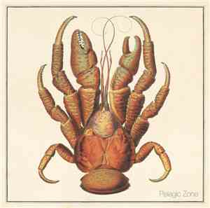 Pelagic Zone - Pelagic Zone
