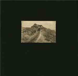Barn Owl / Tom Carter - Split