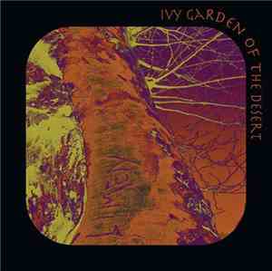 Ivy Garden Of The Desert - LIMEN