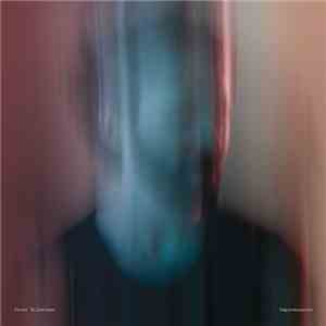 Peter Silberman - Impermanence