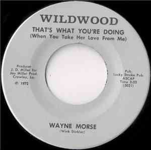 Wayne Morse  - That's What You're Doing (When You Take Her Love From Me)