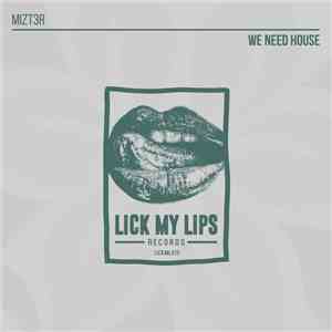 Mizt3r - We Need House