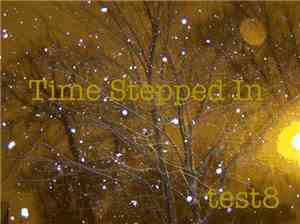 test8 - Time Stepped In