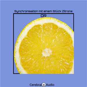 DR  - Synchronisation Mit Einem Stück Zitrone