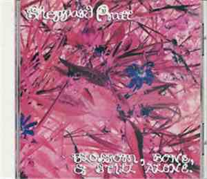 Sheppard Pratt - Blossom, Bone & Still Alone