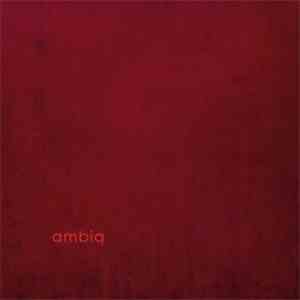 Claudio Puntin, Samuel Rohrer, Max Loderbauer - Ambiq